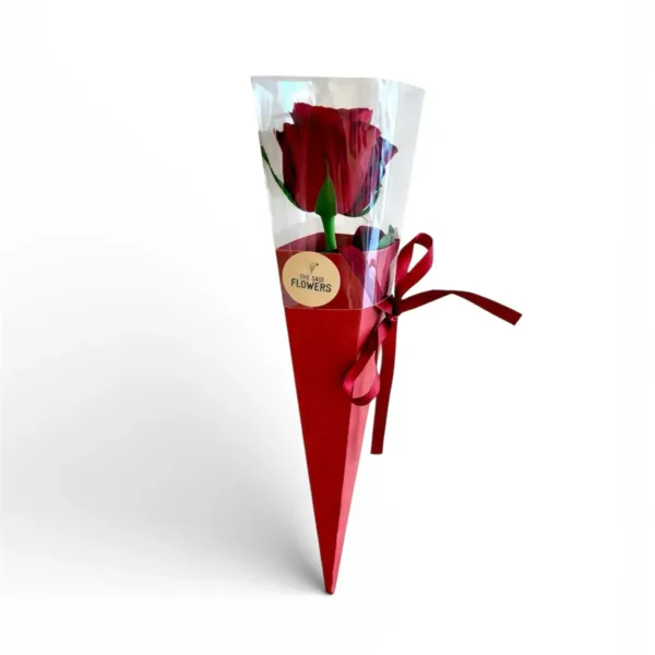 Rose individuelle en cornet