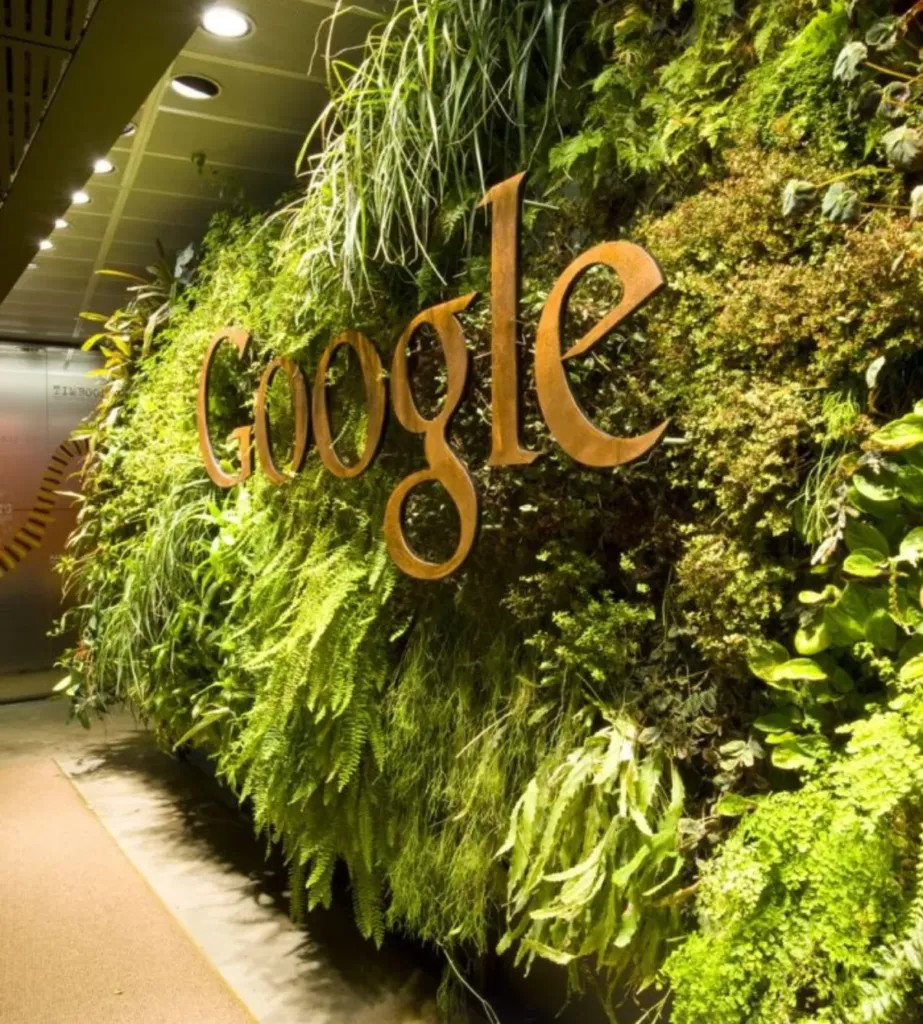 Des Murs Végétaux Stabilisées : La Nature S’invite Chez Vous